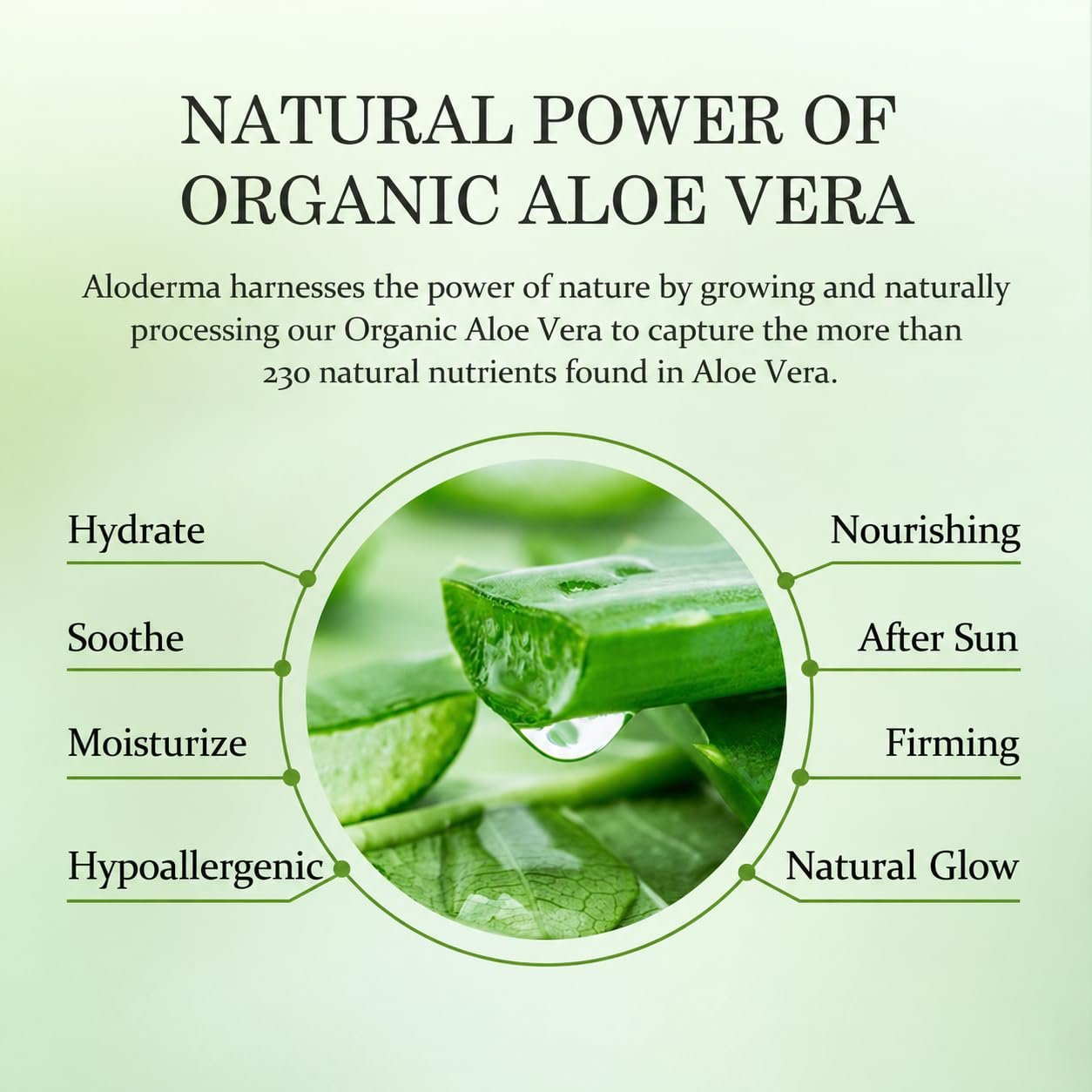 Aloderma Travel Size Aloe Vera Gel Made within 12 Hours of Harvest with 99% Pure Organic Aloe Vera for Body, Face, & Scalp - Hydrating & Soothing Gel for After Sun Care - 1.5oz Squeeze Tube - Image 4